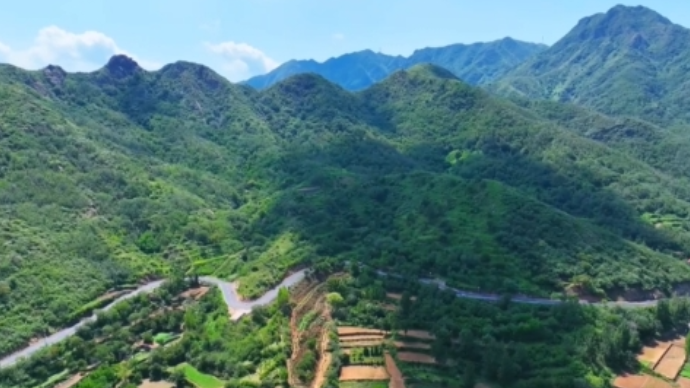 炎炎夏日何处去 青阳醴泉享清凉