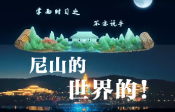 灼言 | 为“尼”而来