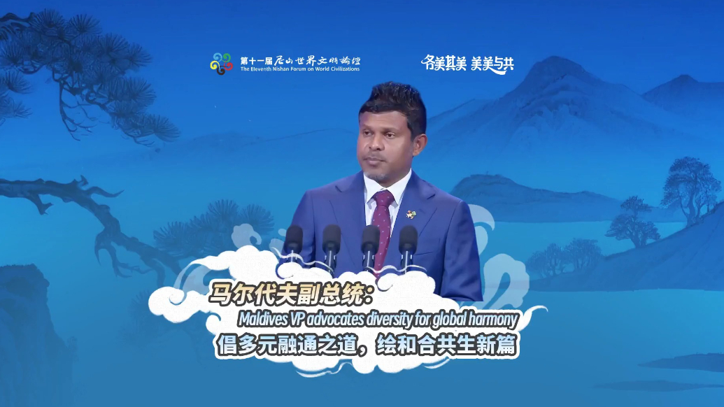 Maldives VP advocates diversity for global harmony