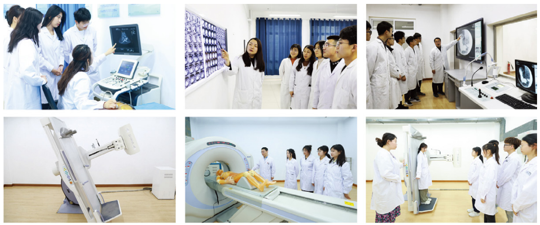 专业解码|齐鲁医药学院医学影像学院：学以致用 精益求精