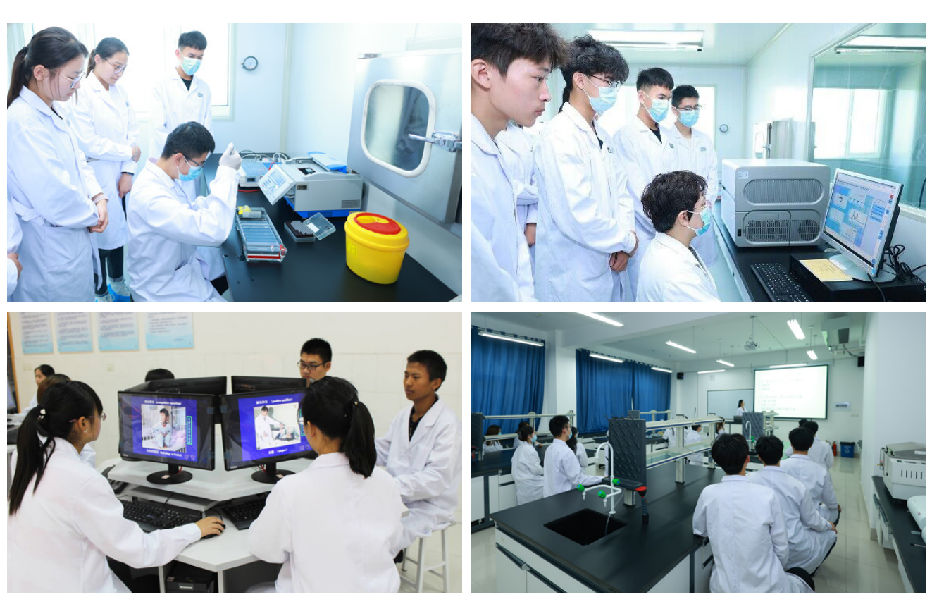 专业解码|齐鲁医药学院公共卫生学院：尚德博识 笃行卫康