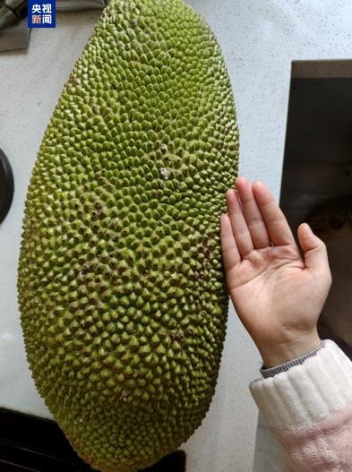 图片加载失败