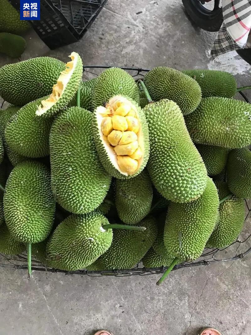 图片加载失败