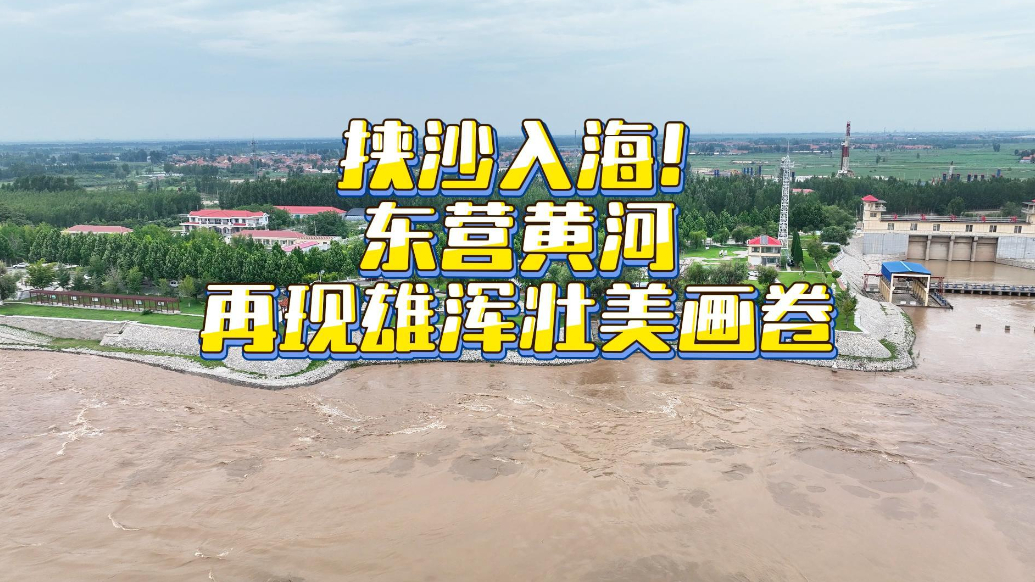 挟沙入海！东营黄河再现雄浑壮美画卷