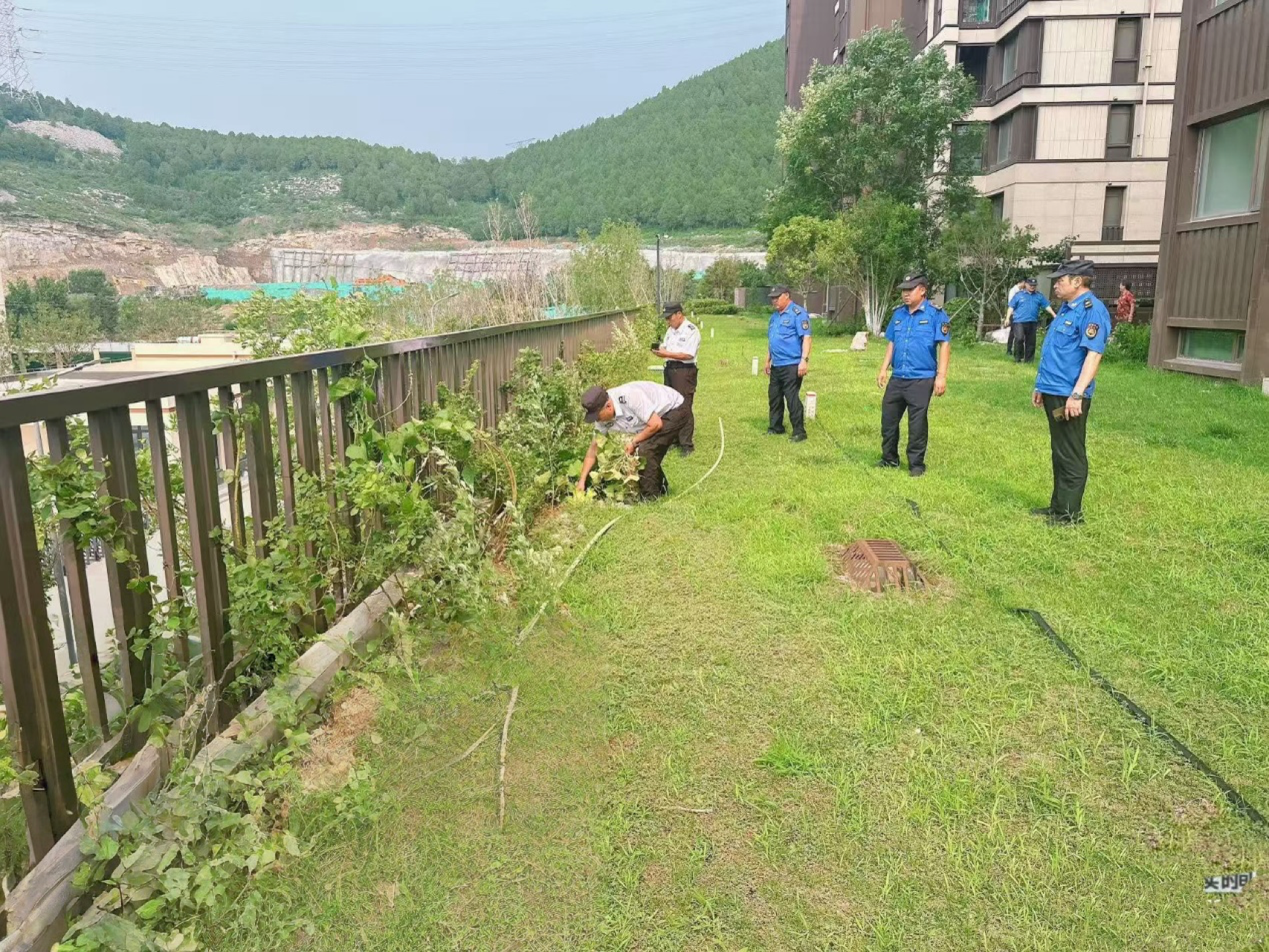 济南市中区十六里河：城管进社区，专项整治“毁绿种菜”