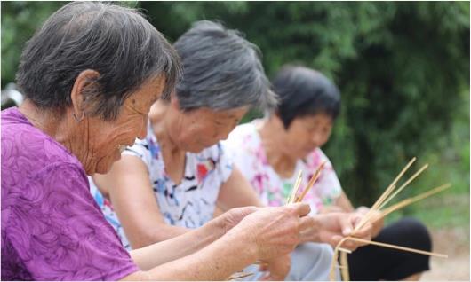 山东平度草编专用高秆小麦种植系统让农活的味道与价值延伸