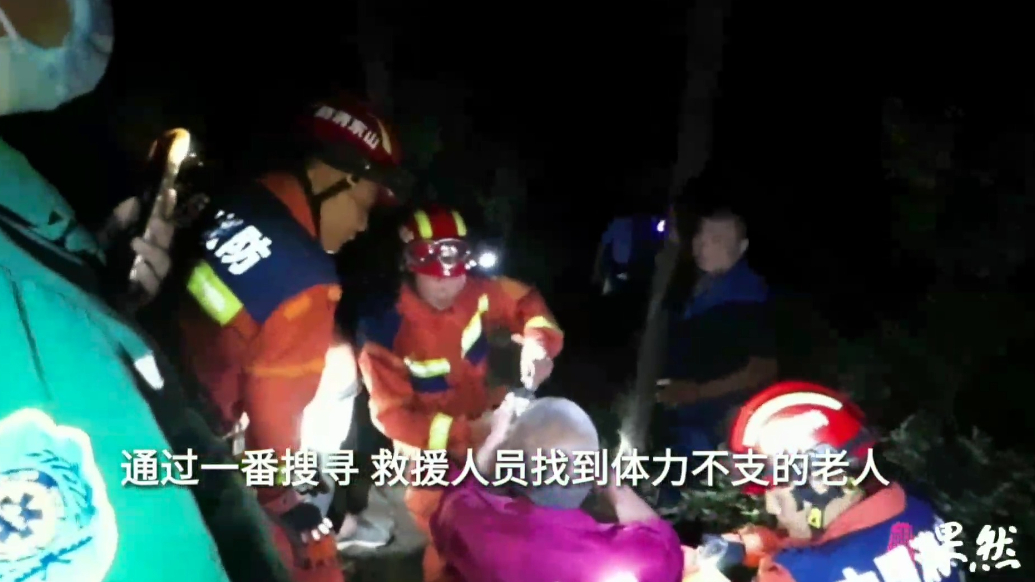 果然视频|老人上山抓蝎子被蜇伤，众人紧急进山搜救