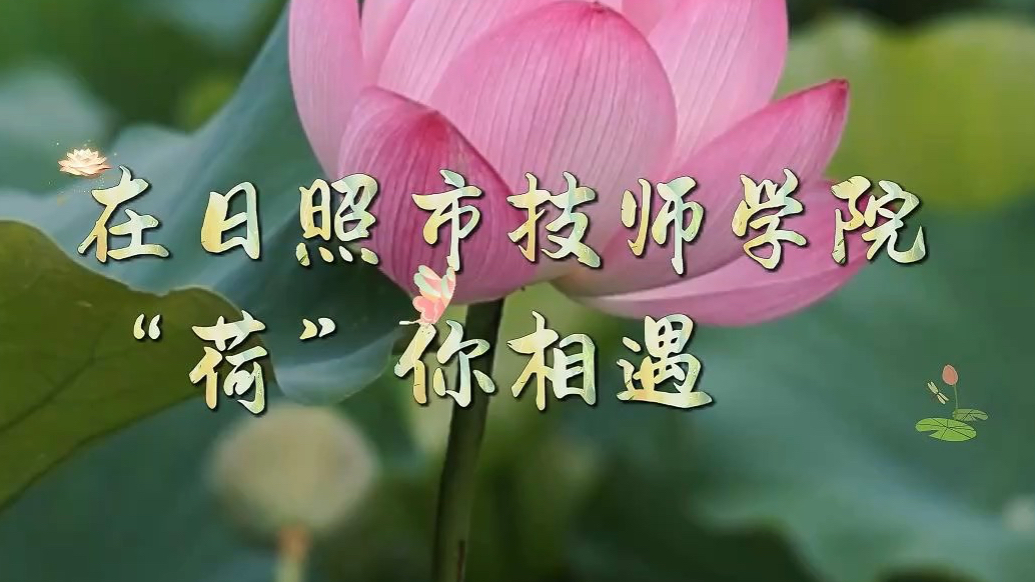果然视频｜在日照市技师学院，“荷”你相遇