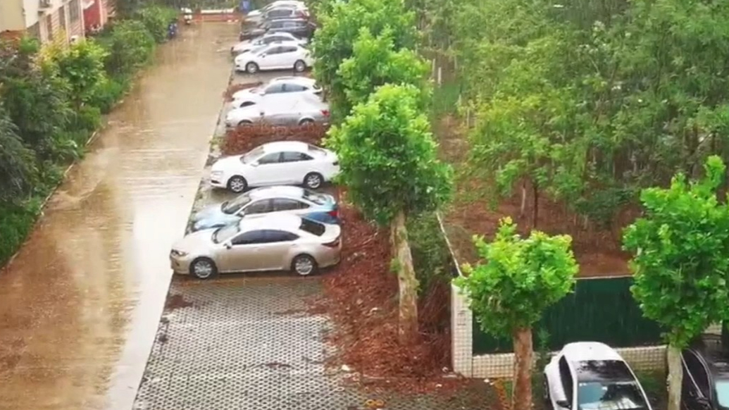 天气情报站|说下就下！济南一场急雨突降，多雨时节出门带好雨具