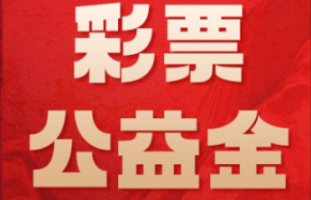 2024年5.7亿元彩票公益金资助国家艺术基金项目