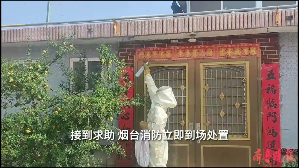 果然视频|马蜂在村民家屋檐下筑巢，消防员到场五分钟清除蜂患