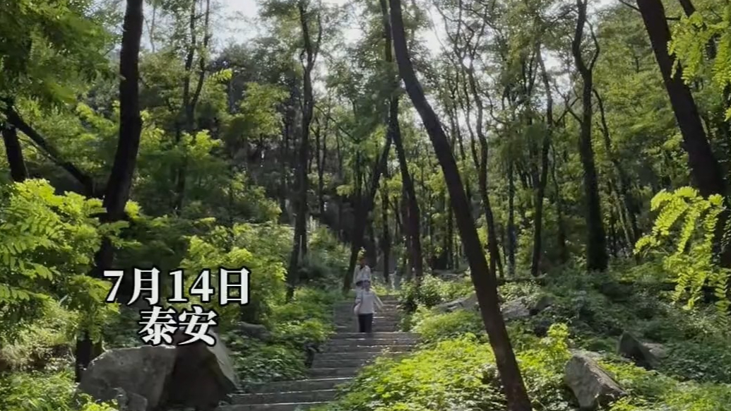 果然视频｜徒步泰山东御道，沉浸式打卡“绿野仙踪”童话秘境