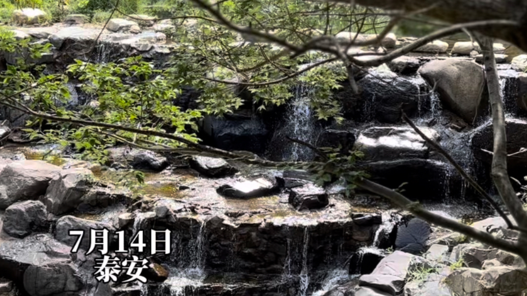 果然视频｜泰山彩石溪：清泉石上淌，绿意漫山间，夏日清凉与蓬勃生机装了个满怀
