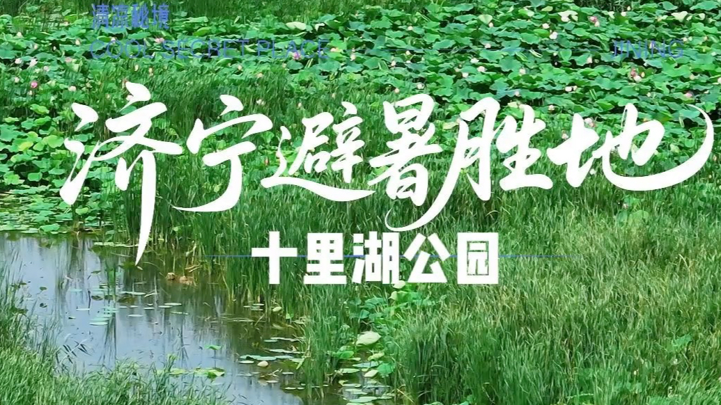 果然视频|济宁避暑胜地——十里湖生态湿地公园