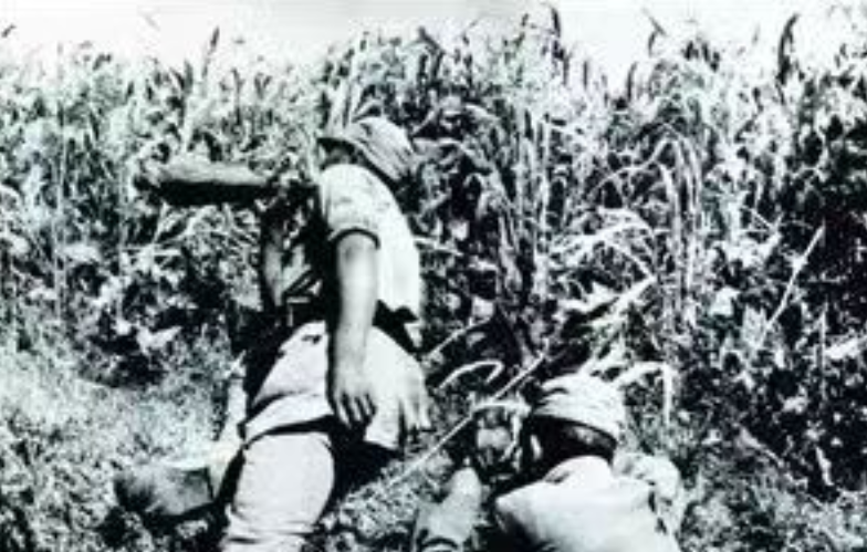 铭记历史 缅怀先烈|梁山脚下有一场“模范歼灭战”