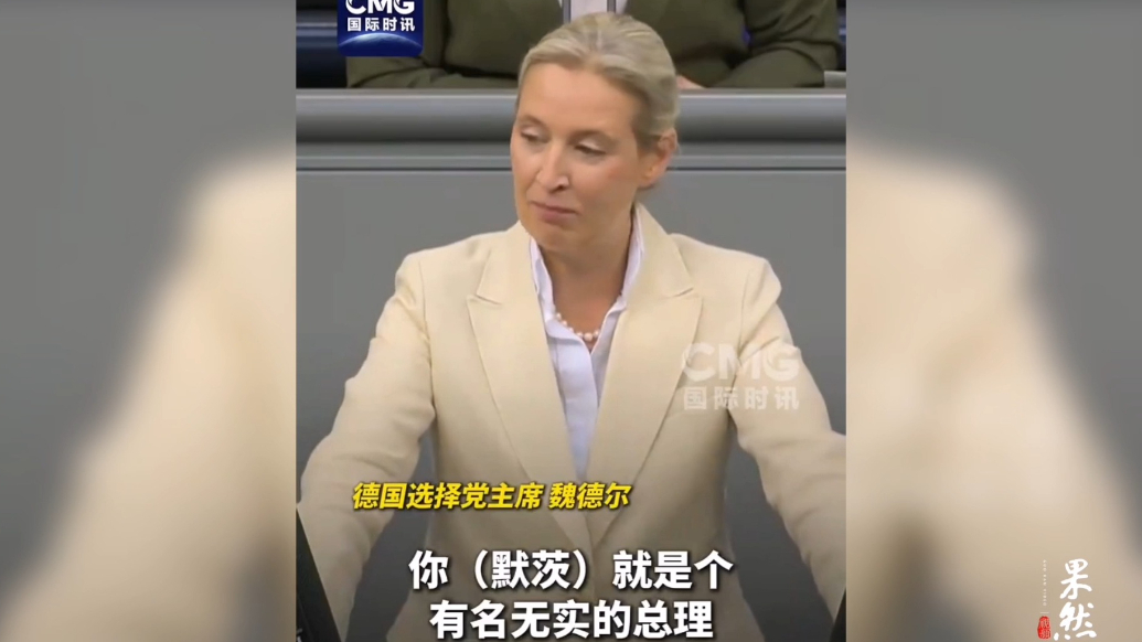 果然视频·看天下|魏德尔批默茨：用德国纳税人的钱去援乌