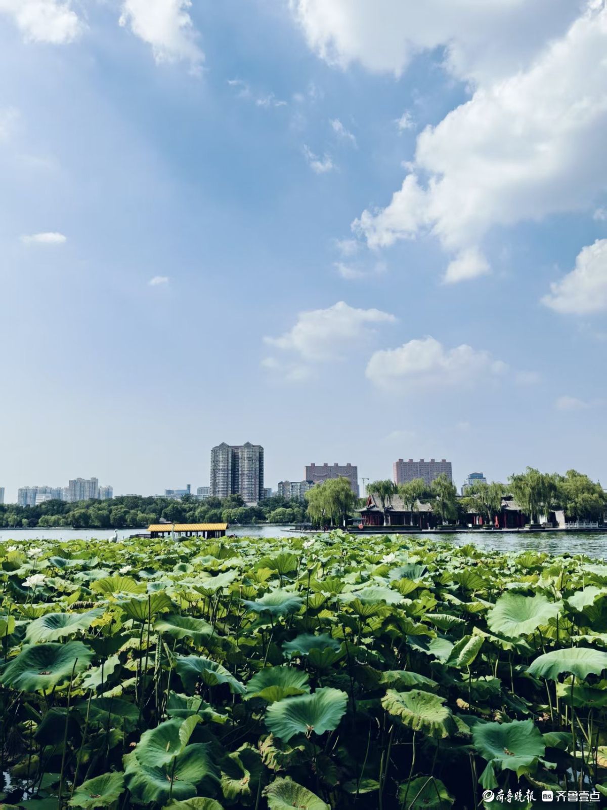 来济南看明湖美景