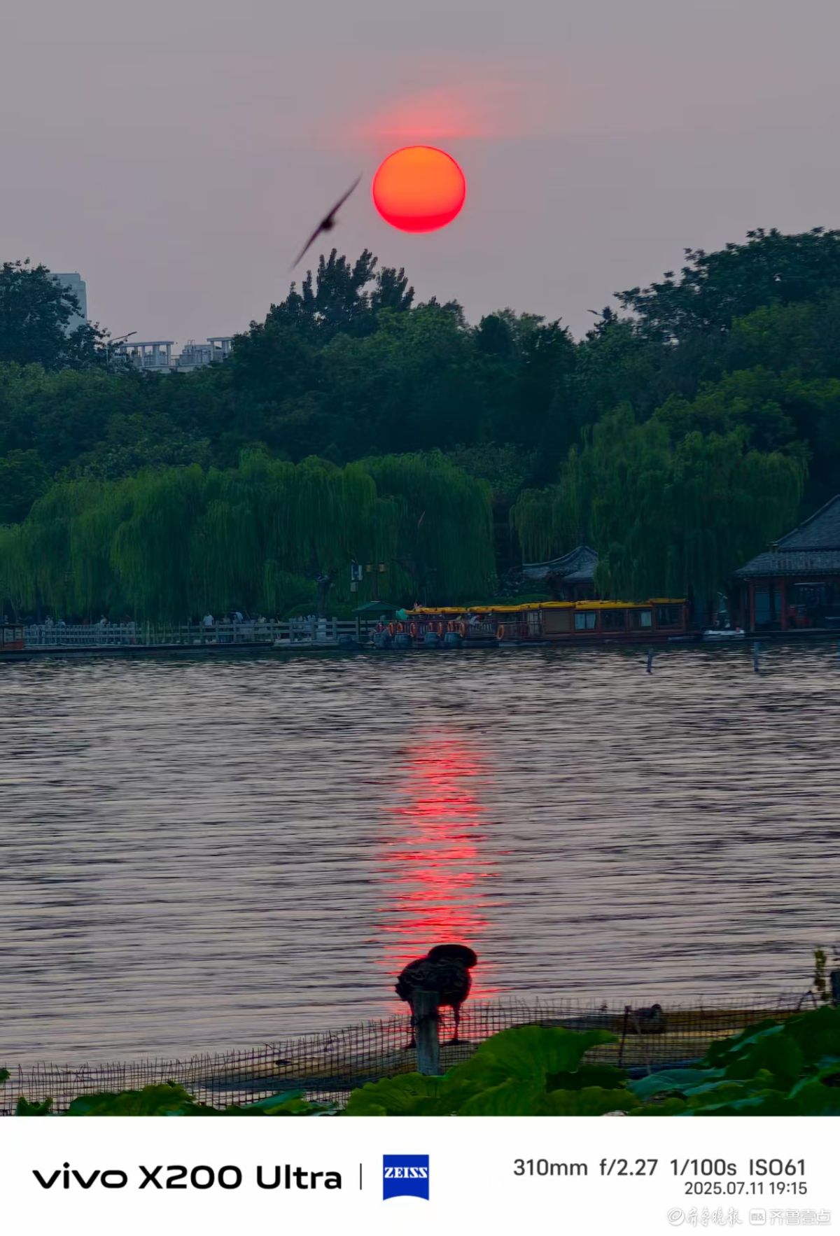 共享美好时光，我在记录