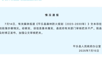 官方文件大段抄袭，戳破了什么