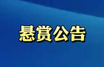 举报奖励2000元！东平县人民法院发布悬赏公告