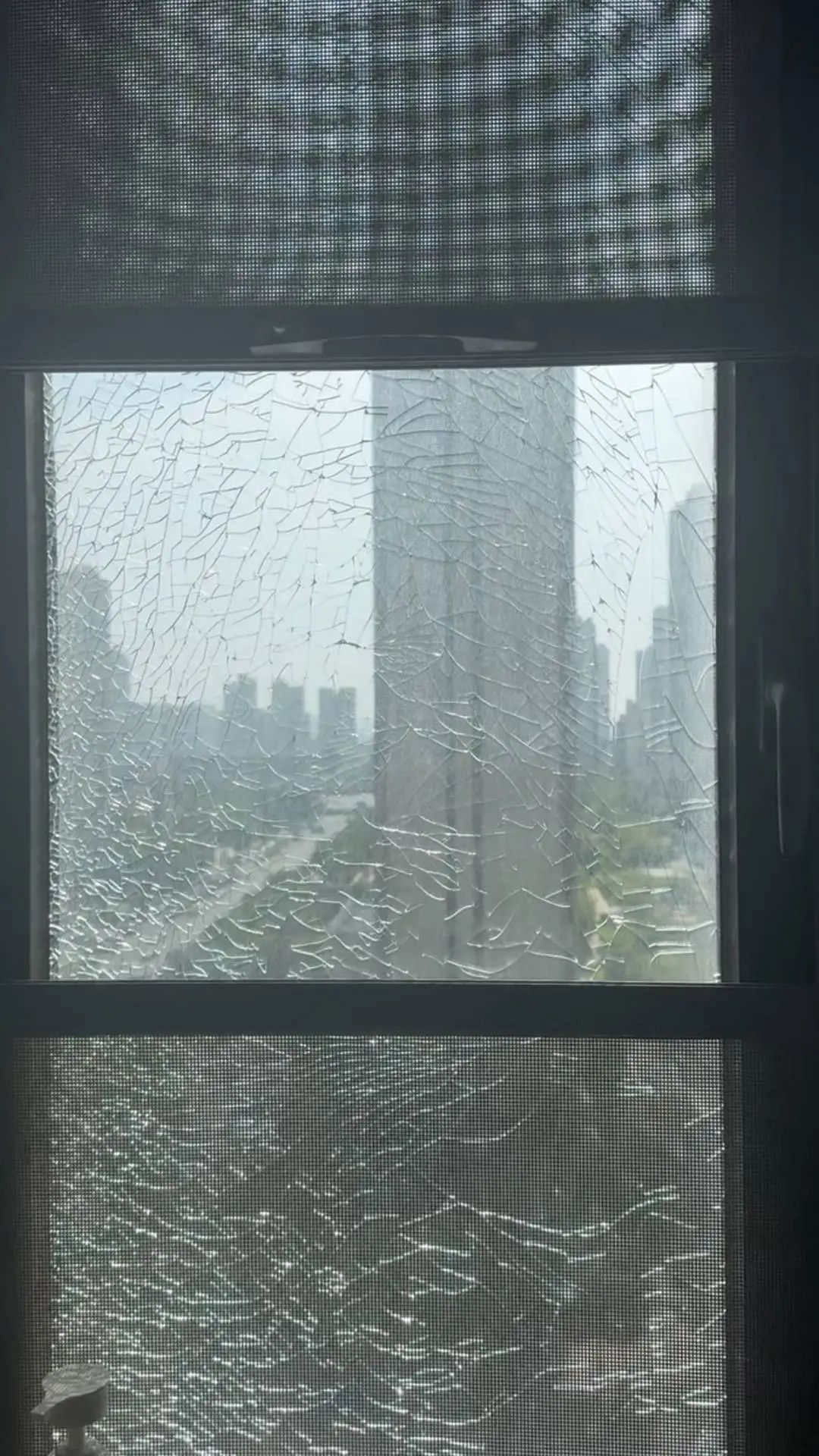 44.2℃，热“炸”了！河南网友：玻璃裂成“蜘蛛网”，大鹅热死在水塘