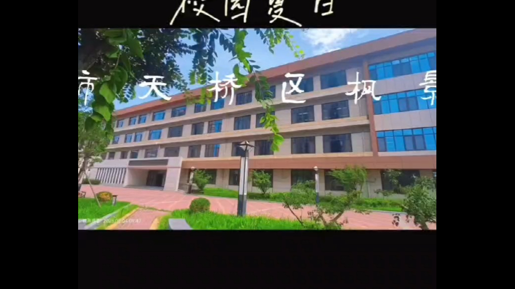 果然视频|夏日校园的悠悠时光
