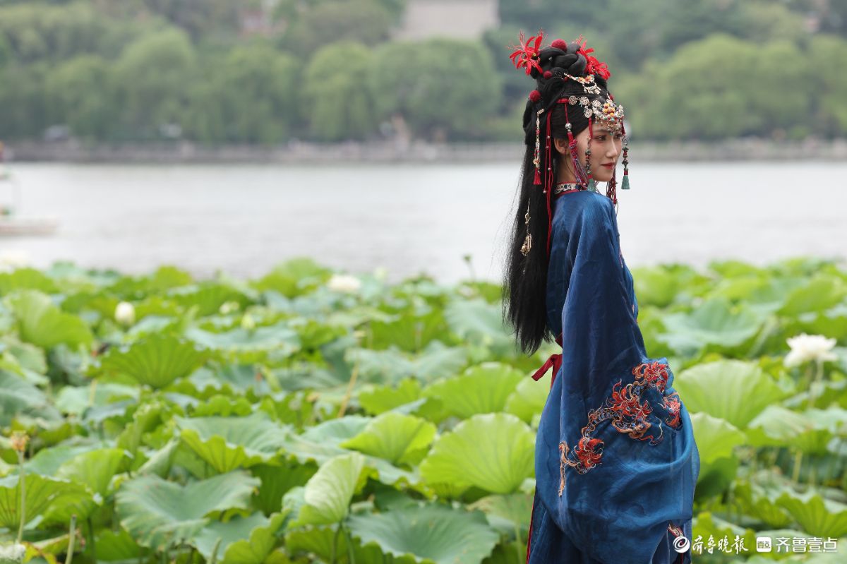 大明湖荷花绽放，游客身穿汉服化身“夏雨荷”打卡