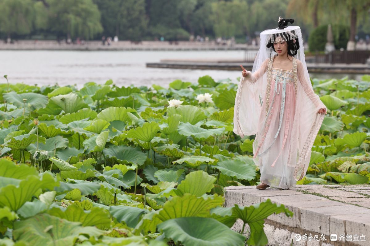 大明湖荷花绽放，游客身穿汉服化身“夏雨荷”打卡