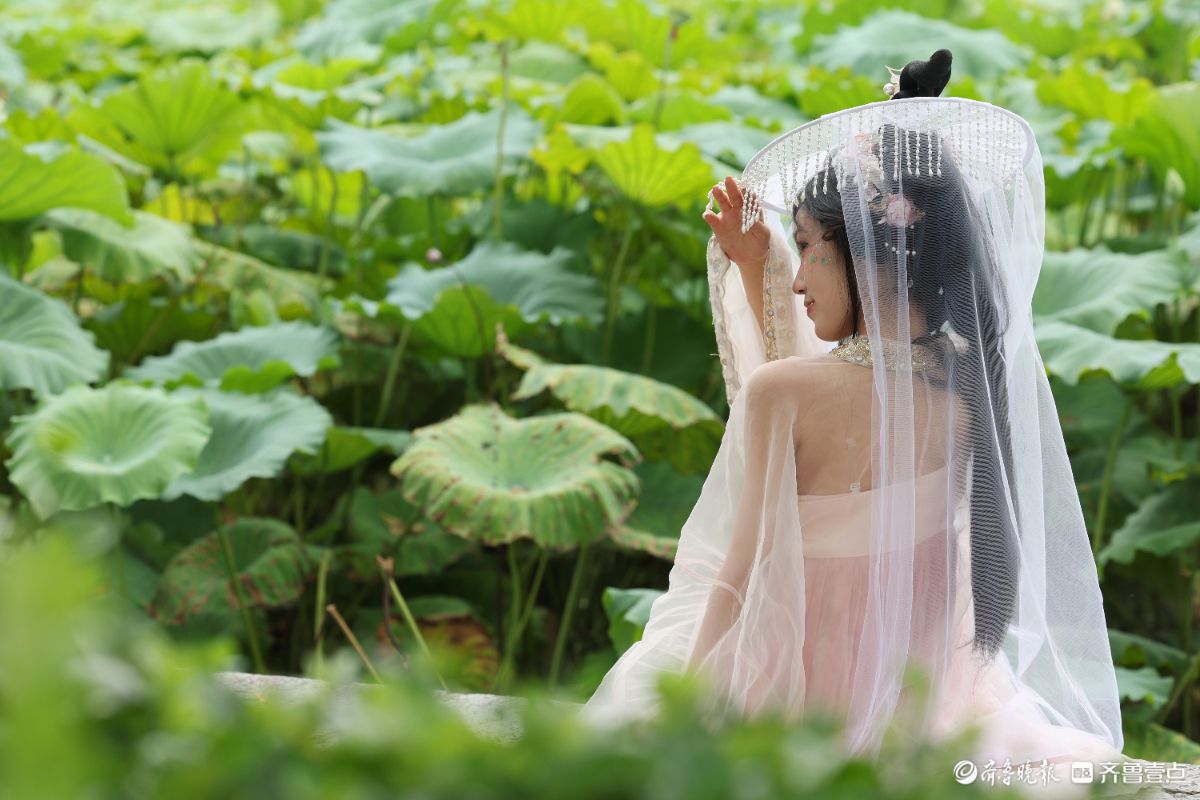 大明湖荷花绽放，游客身穿汉服化身“夏雨荷”打卡