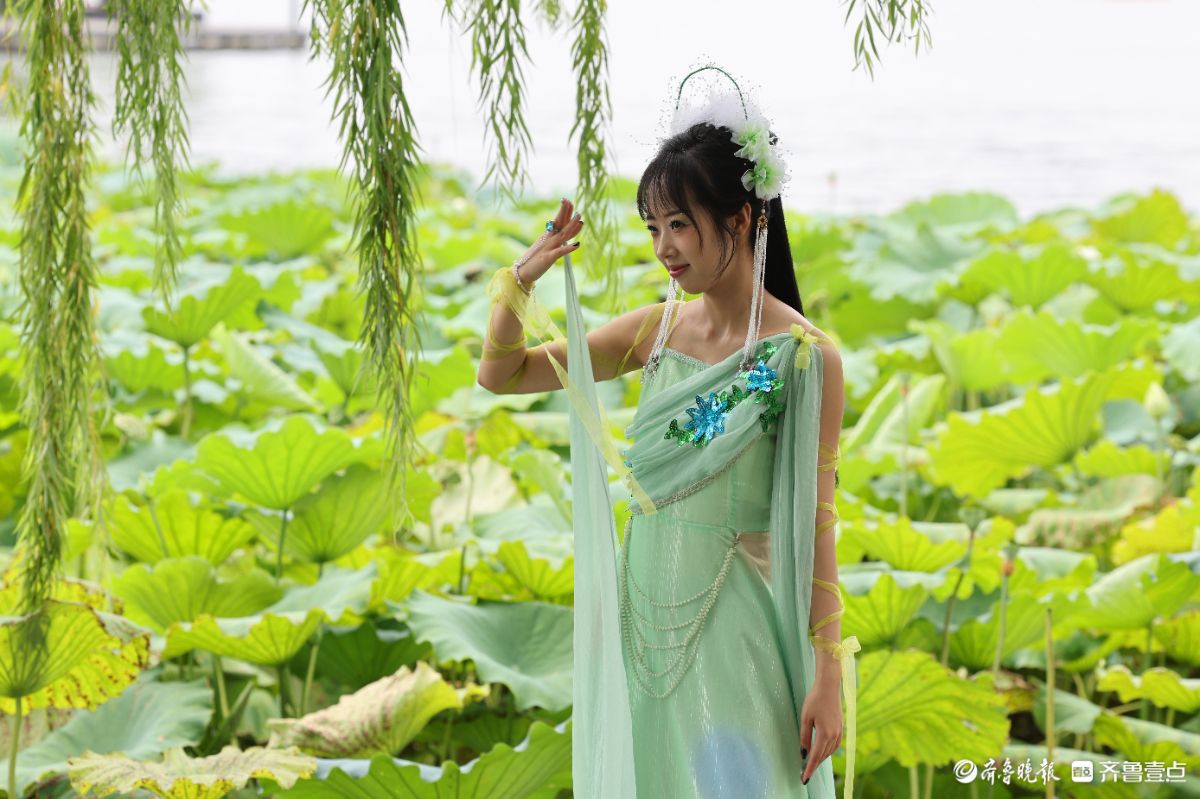 大明湖荷花绽放，游客身穿汉服化身“夏雨荷”打卡