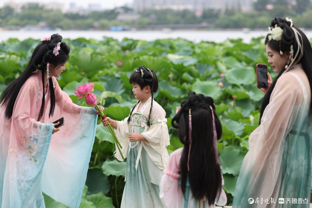 大明湖荷花绽放，游客身穿汉服化身“夏雨荷”打卡