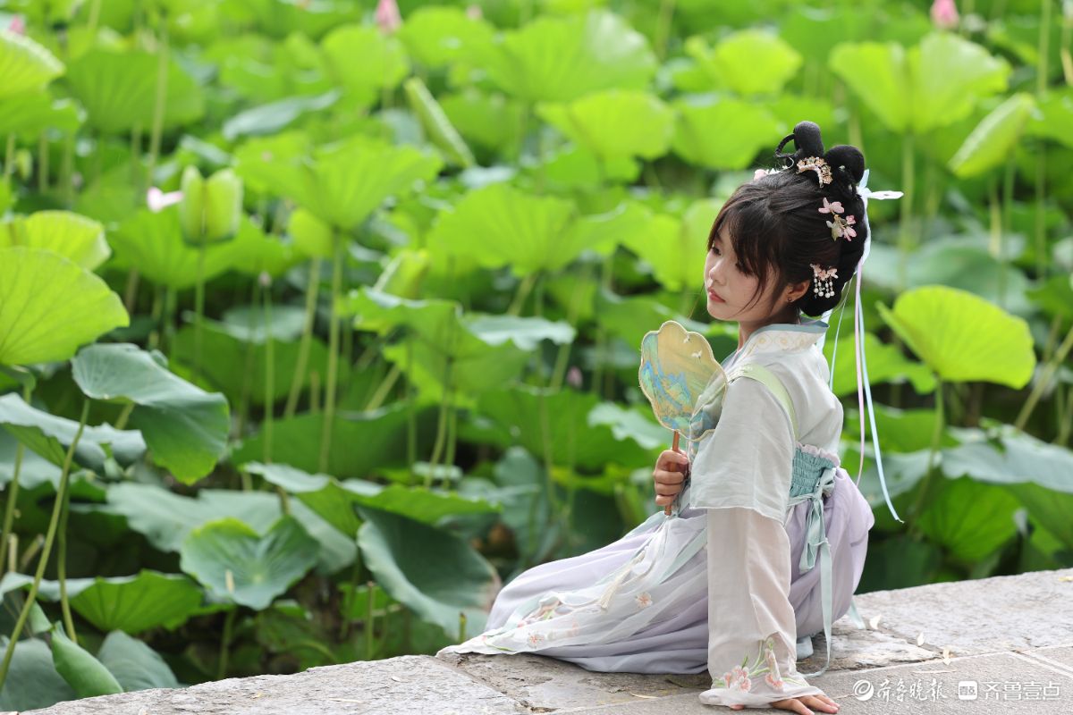 大明湖荷花绽放，游客身穿汉服化身“夏雨荷”打卡