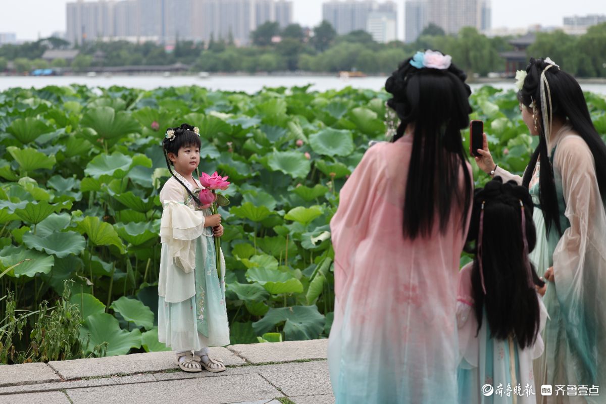 大明湖荷花绽放，游客身穿汉服化身“夏雨荷”打卡