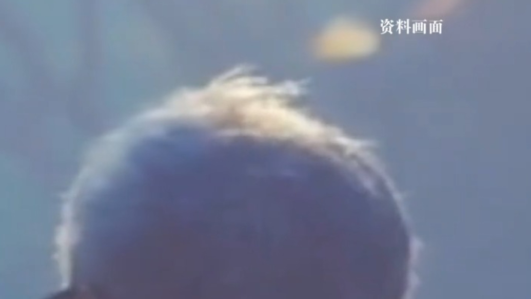 长期遭儿媳咒骂、经济控制，87岁老人跳堰塘自杀，儿媳犯虐待罪被判二年 缓刑三年