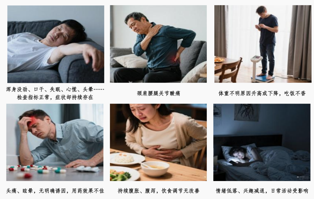 中医全科：解码“无形不适”，重塑身心活力