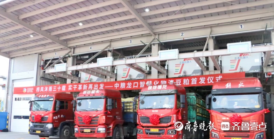 中粮龙口智慧物流项目豆粕首发，全套自动化流程正式开“跑”