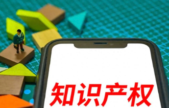 国家级知识产权公共服务机构达到483家，实现省级层面全覆盖