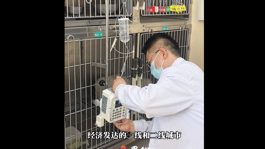 专题｜山东畜牧兽医职业学院：宠物医生炼成记
