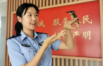 虚弱小翠鸟“落难”派出所，警民接力助其重返自然 