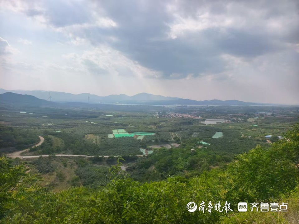 “烈士葬进祖坟就是亲人”——抗战胜利80周年特别报道