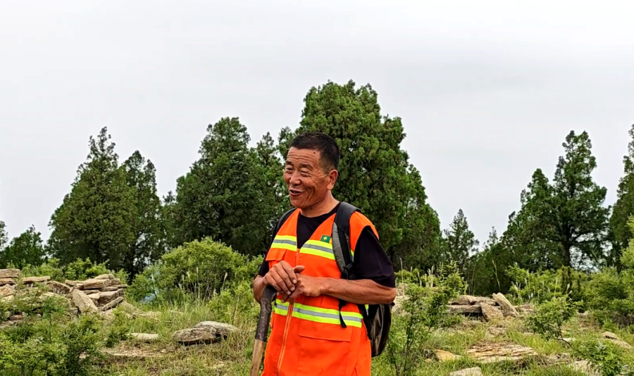 董京山：一月走烂一双鞋 痴心护林二十载