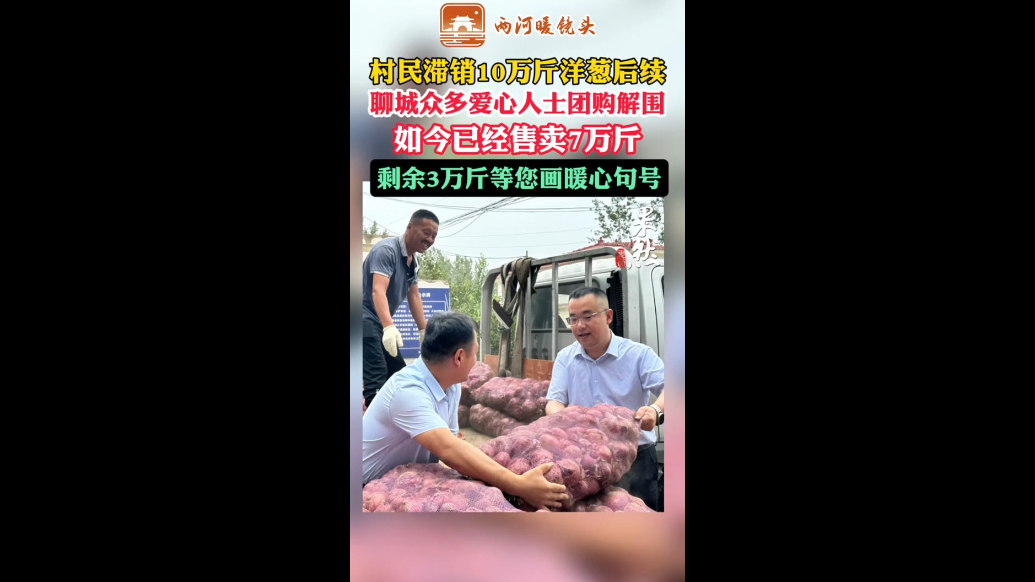 两河暖镜头｜滞销10万斤洋葱后续，聊城众多爱心人士团购解围