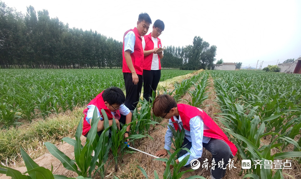 公益暑期|共建实践基地，“汶阳巧匠助农实践团”助力乡村振兴