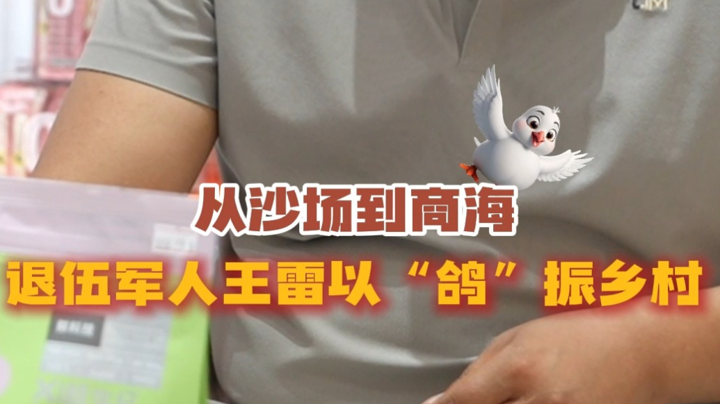 对话·临沂|从沙场到商海，退伍军人王雷以“鸽”振乡村