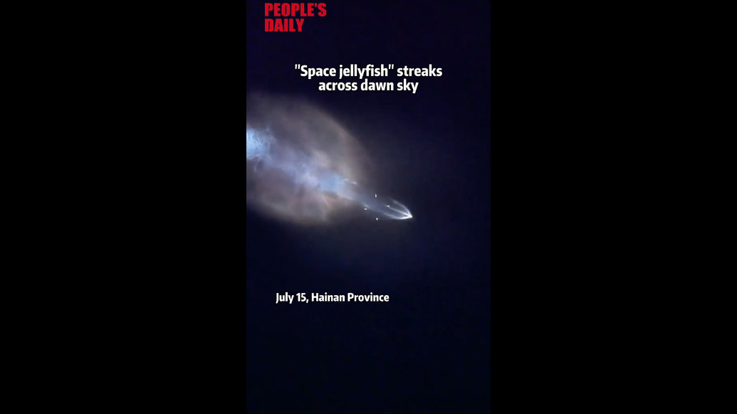 'Space jellyfish' streaks across dawn sky