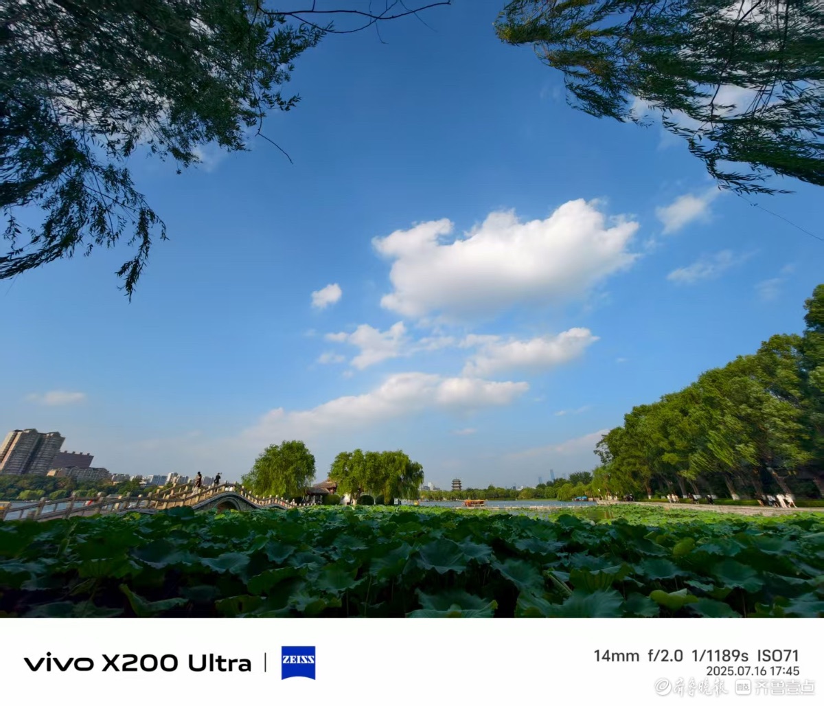 游客争相打卡夏日明湖，我在记录