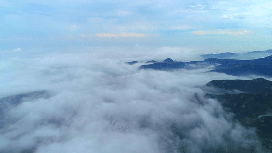 9月13日最佳情报|薄雾下的大明湖别有一景，临沂云海宛如仙境
