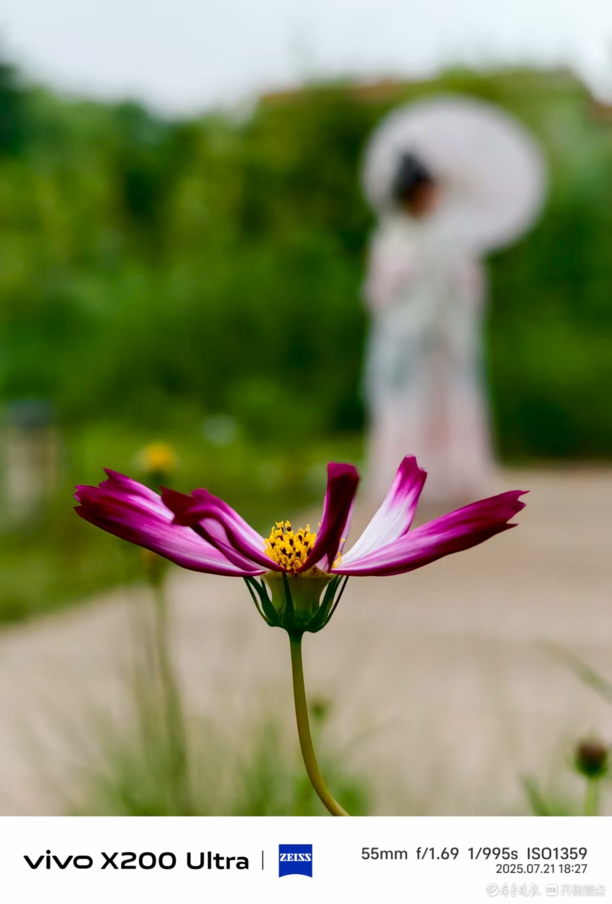 走进百花洲，我在记录