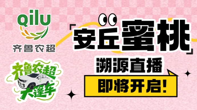 齐鲁农超大篷车丨安丘蜜桃溯源直播，直击枝头鲜甜!