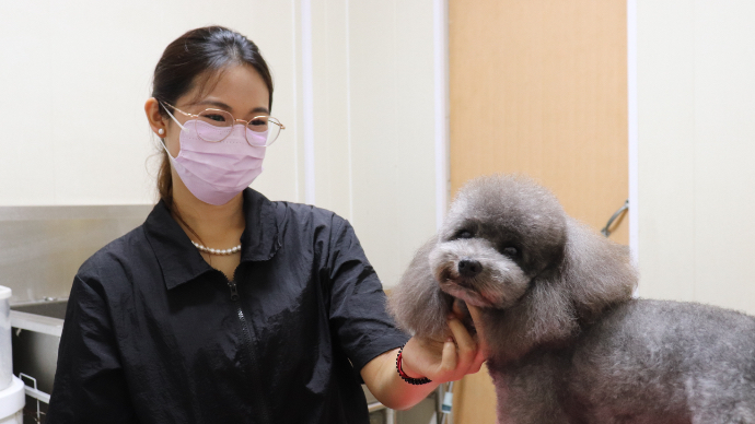 一位00后宠物美容师和她的400多个“毛孩子”顾客